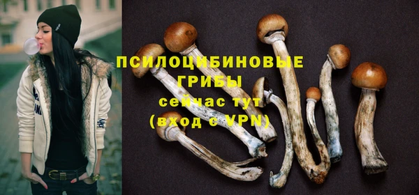 PSILOCYBIN Беломорск